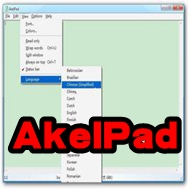 AkelPad4.9.8最新版