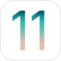 ios 11.3.1描述文件