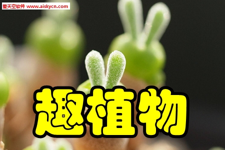 趣植物(拍照识别)