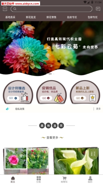 七彩云菊app