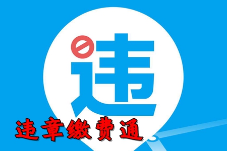 违章缴费通app(违章查询)