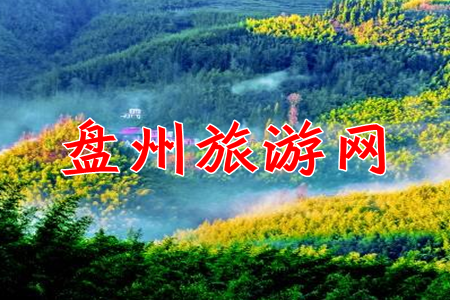 盘州旅游网指南App