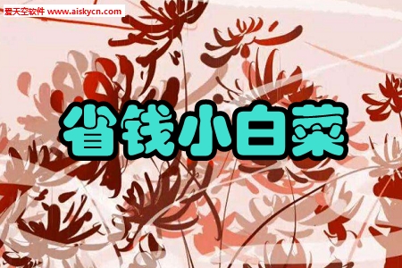 省钱小白菜优惠券app