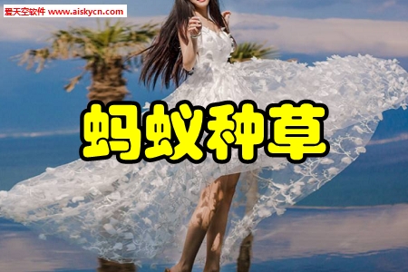 蚂蚁种草优选手机版