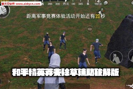 和平精英莽夫除草辅助破解版