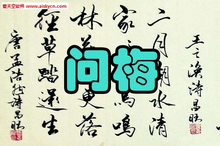 问梅书法优选技巧学习手机版