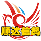 顺达信鸽咨讯服务app 3.1.2安卓版_-六神源码网
