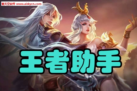 王者助手英雄玩法查询app