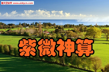 紫微神算详批手机版