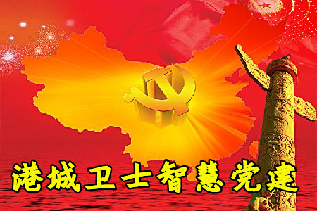 港城卫士智慧党建app