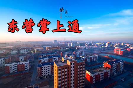 东营掌上通手机客户端app