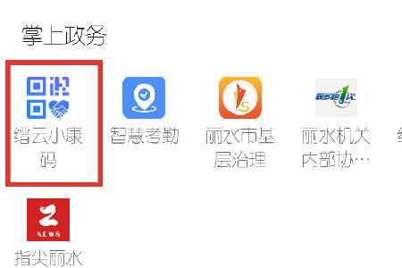 浙政钉缙云小康码app