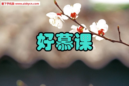 好慕课实战课程免费版app