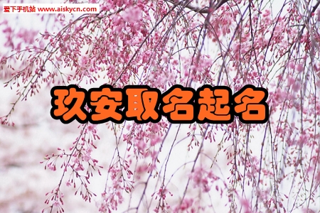玖安取名起名测算工具手机版