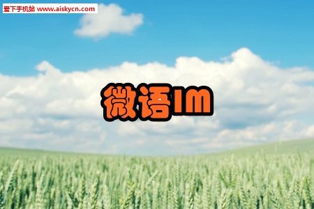 微语IM即时聊天app