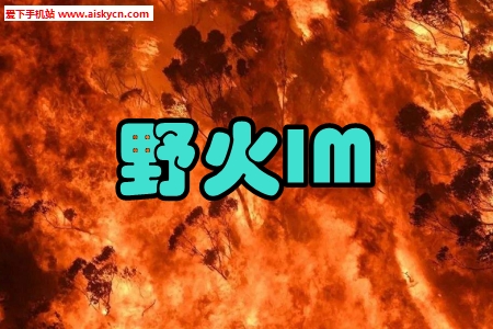 野火IM即时通讯手机版