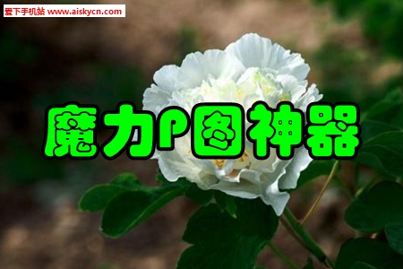 魔力P图神器图片加工app