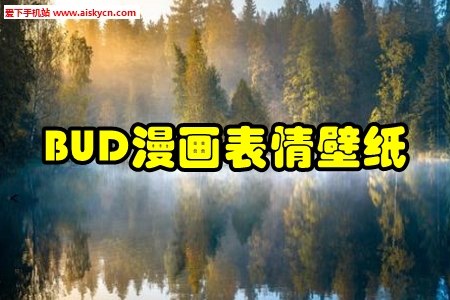 BUD漫画表情壁纸手机版