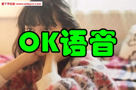 OK语音好友连麦app