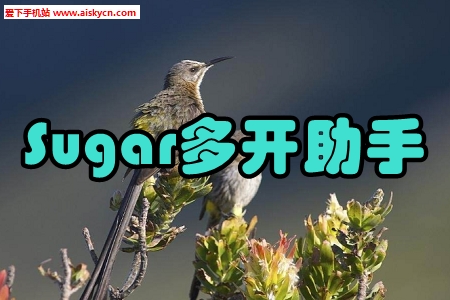 Sugar多开助手2020付费破解版 Sugar多开助手2020付费破解版