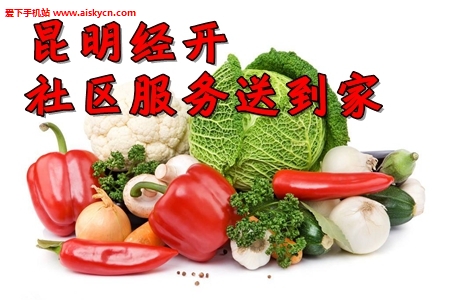 昆明经开社区服务送到家app