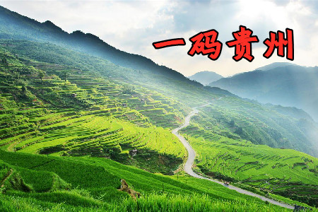 一码贵州app2021最新版