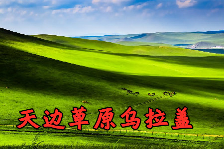 天边草原乌拉盖app安卓手机版