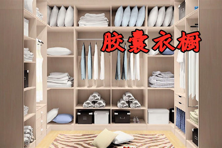 胶囊衣橱app安卓手机版