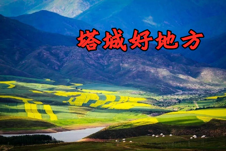 塔城好地方app2021最新版