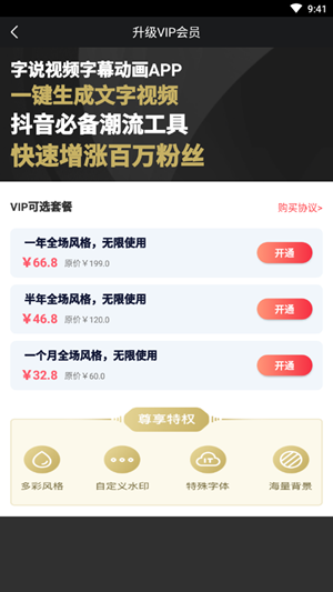 字说视频字幕动画直装破解版