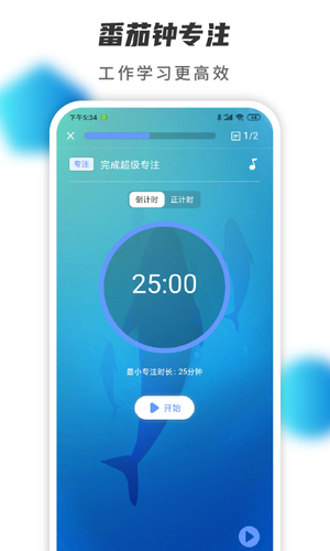 掌练app
