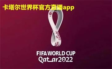 2022年卡塔尔世界杯回放app