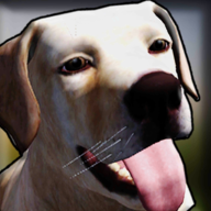 狗收容所模拟器3D游戏下载中文版v6.0